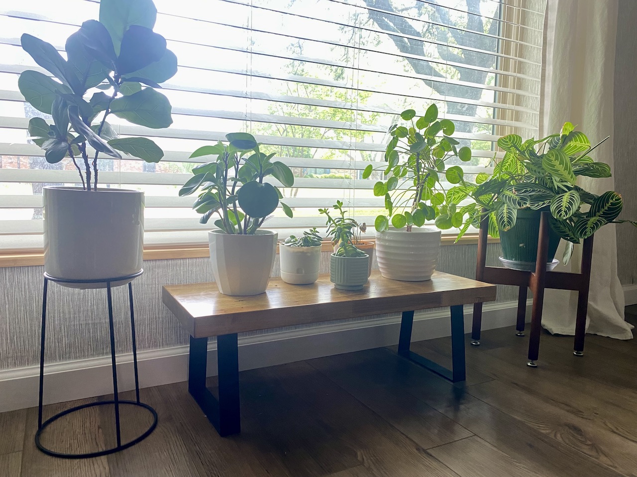 Plant stand made from remnant butcher block 